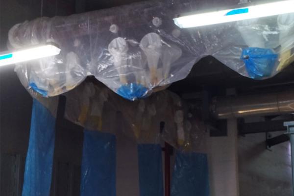 Glove bags - IGR